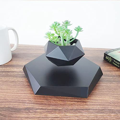 Black Hexagon Levitating Bonsai Plant for Home and Office