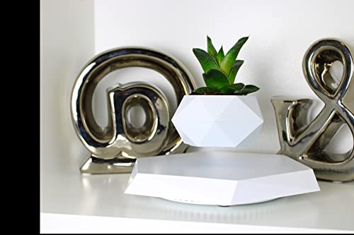 Levitating Plant Pot for Home and Office Decor