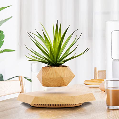 HCNT Levitating Plant Pot for Home and Office Décor
