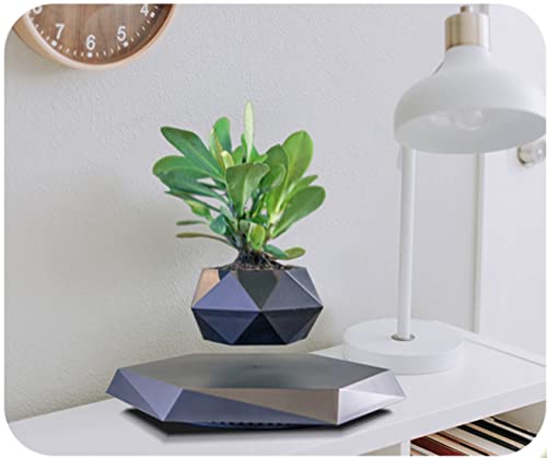 Black Hexagon Levitating Bonsai Plant for Home and Office