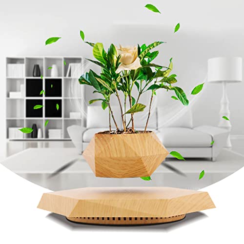 HCNT Levitating Plant Pot for Home and Office Décor