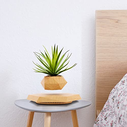 HCNT Levitating Plant Pot for Home and Office Décor