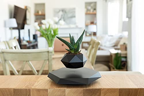 BandD Levitating Plant Pot - Magnetic Floating Display (Black)