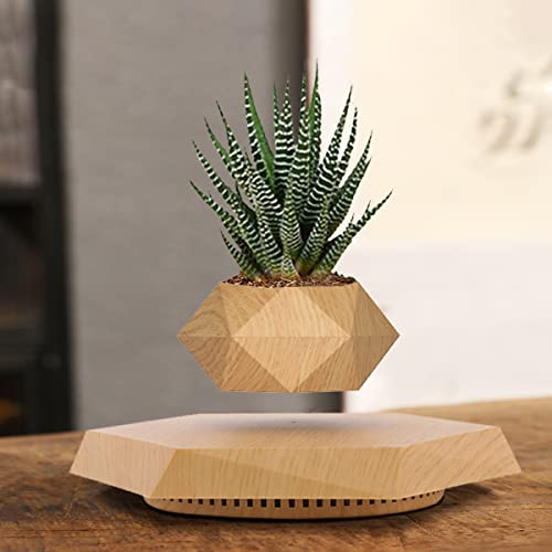 HCNT Levitating Plant Pot for Home and Office Décor