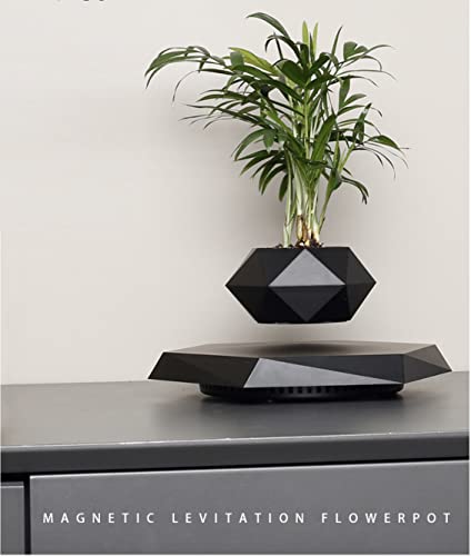 Black Hexagon Levitating Bonsai Plant for Home and Office