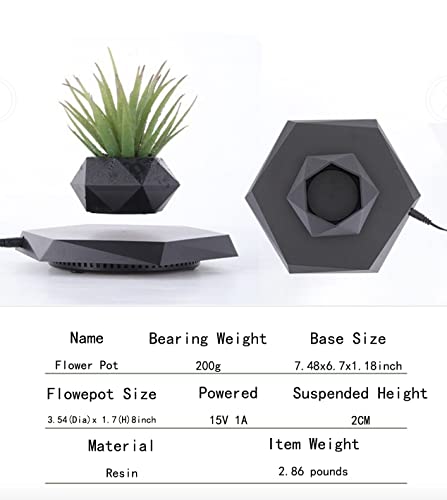 Black Hexagon Levitating Bonsai Plant for Home and Office