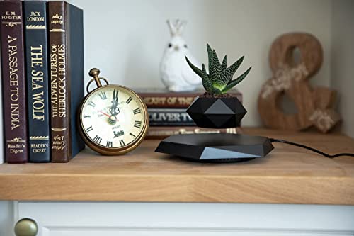 BandD Levitating Plant Pot - Magnetic Floating Display (Black)