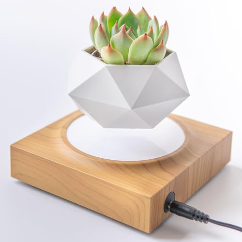 Levitating Air Bonsai Pot for Home and Office