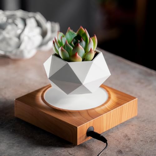 Levitating Air Bonsai Pot for Home and Office
