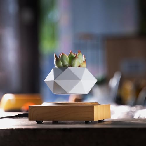 Levitating Air Bonsai Pot for Home and Office