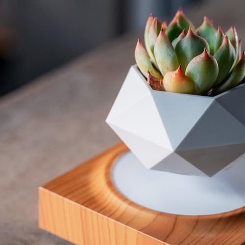 Levitating Air Bonsai Pot for Home and Office