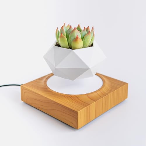 Levitating Air Bonsai Pot for Home and Office