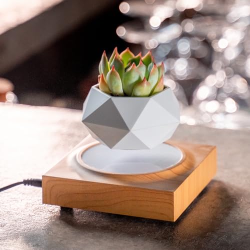 Levitating Air Bonsai Pot for Home and Office