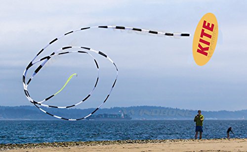 Prism Synapse Foil Power Kite Bundle with Stunt Tail