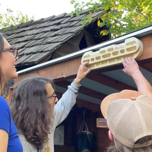 TWO STONES Climbing Hangboard with Variety of Holds