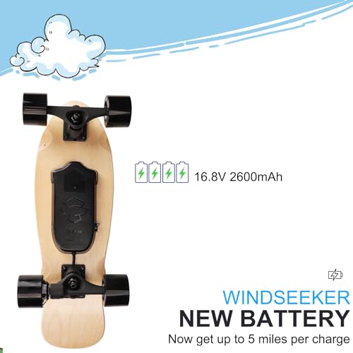 Electric Skateboard with Remote Control, 350W Motor, DIY Stickers