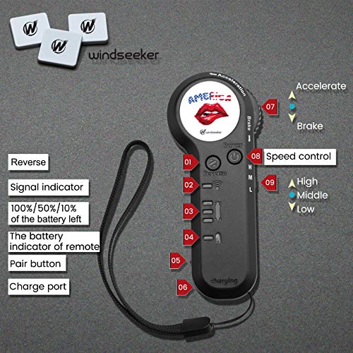 350W Electric Skateboard with Remote Control - 3 Speeds