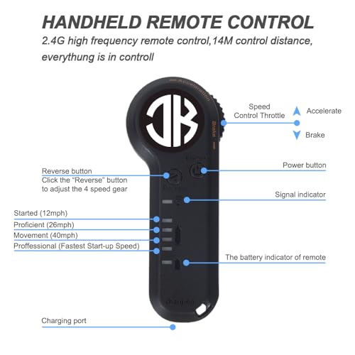 Jking Electric Longboard with Remote Control, 700W Hub-Motor