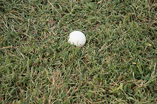 Triumph Sports Competition 100mm Bocce Ball Set, Multi