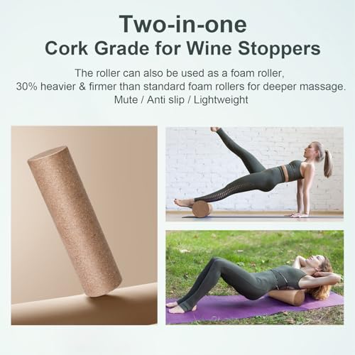 Balance Board Trainer for Fun Home Fitness Workouts