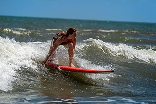 Boardworks Froth! Soft Top Surfboard 8ft Papaya