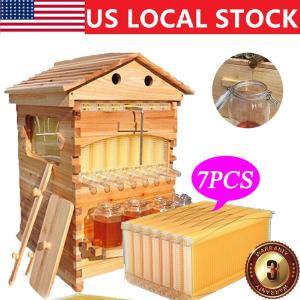 7-Piece Honey Hive Frames Set with Cedarwood House
