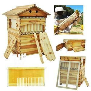 7 Plastic Beehive Frames with Wooden Brood Boxes