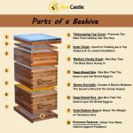 Beeswax Coated 8-Frame Langstroth BeeHive Kit