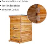 Beeswax Coated 8-Frame Langstroth BeeHive Kit