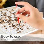 10 Beekeeping Grafting Tools for Queen Care