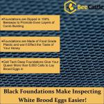 Beeswax Coated 8-Frame Langstroth BeeHive Kit