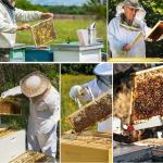 Bee Hive Starter Kit with Smoker and Tools