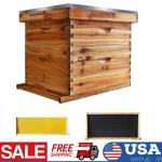Langstroth Wooden Beehive Kit with 20 Frames