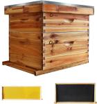 Langstroth Wooden Beehive Kit with 20 Frames