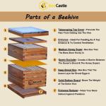 Cedar Wood 8 Frame Langstroth Bee Hive Kit