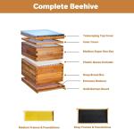 Langstroth Wooden Beehive Kit with 20 Frames