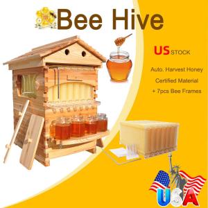 7-Piece Beehive Honey Frame Set with Cedarwood Box