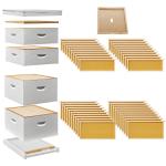 Assembled Beehive Kit with 10 Frames and Supers