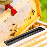 10 Plastic Bee Hive Beetle Blaster Traps