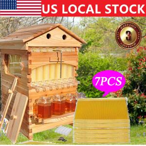 7PCS Honey Bee Hive Frames with Cedarwood Box