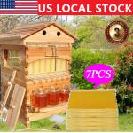 7PCS Honey Bee Hive Frames with Cedarwood Box