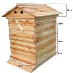 7PCS Honey Bee Hive Frames with Cedarwood Box