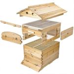 7PCS Honey Bee Hive Frames with Cedarwood Box