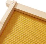 10 Beehive Frames with Waxed Foundations