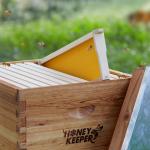 10 Beehive Frames with Waxed Foundations