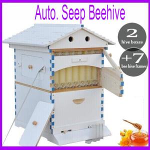 Auto Bee Hive Starter Kit with Plastic Frames