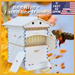 Wooden Bee Hive Starter Kit with 7 Frames