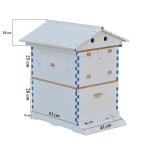 Auto Bee Hive Starter Kit with Plastic Frames