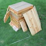 Upgraded Auto Honey Beehive Frames with Cedar Box