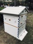 Wooden Bee Hive Starter Kit with 7 Frames
